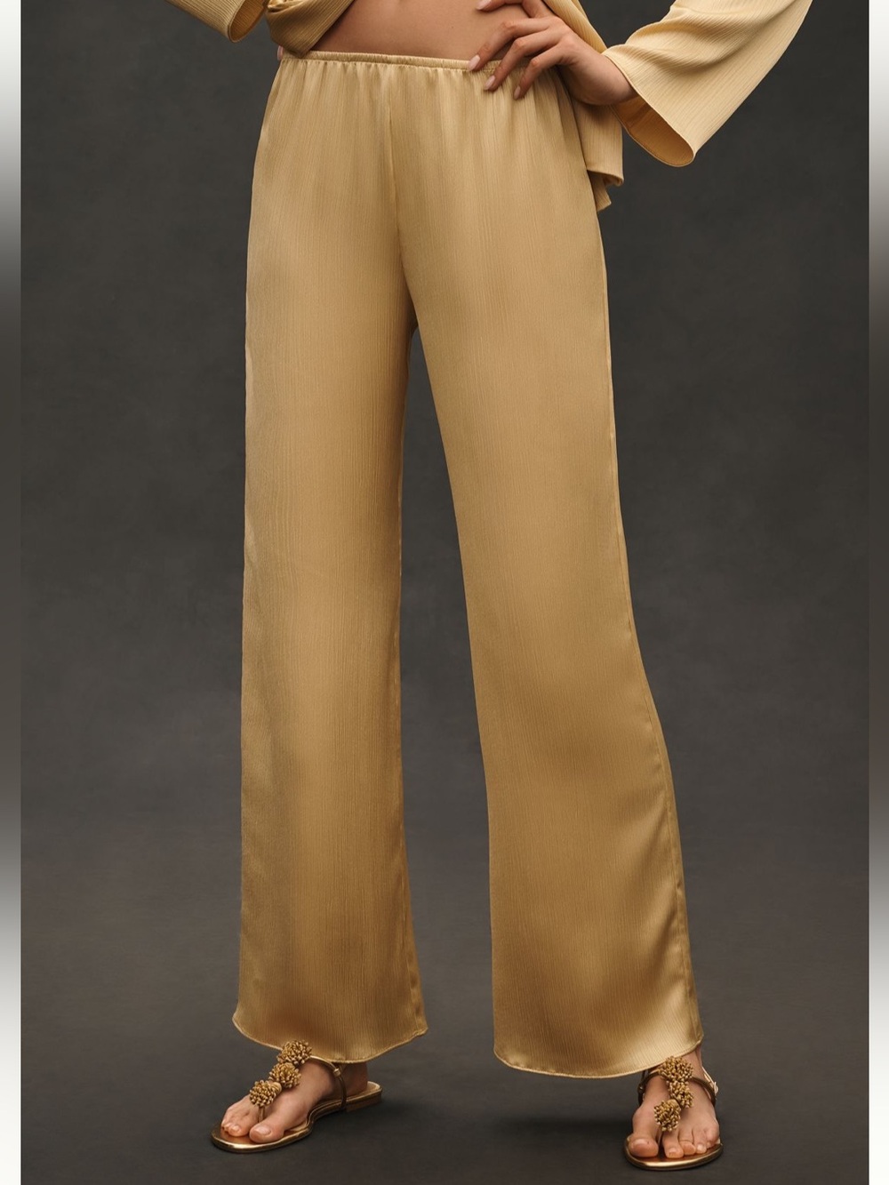 NEW. Anthropologie Crinkle Elastic Waist Wide Leg Pants. NWT